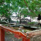 photo 2022-06-01 12-57-24