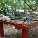 photo 2022-06-20 18-27-13