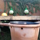 photo 2023-12-27 08-50-05