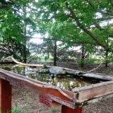 photo 2022-05-03 13-35-48