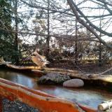 photo 2022-02-24 07-34-21