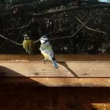 photo 2023-01-06 10-29-38