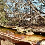 photo 2022-02-18 13-20-10