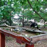 photo 2022-05-26 12-16-50