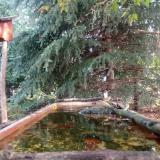 photo 2023-09-25 09-44-41