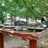 photo 2022-06-08 14-51-15