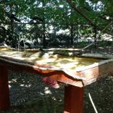 photo 2022-07-21 15-15-54