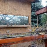 photo 2022-11-28 12-35-04