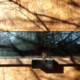 photo 2023-02-05 09-22-21