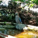 photo 2022-04-26 17-07-20 szajko