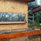 photo 2022-10-26 09-50-45