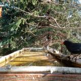 photo 2023-03-19 08-54-46