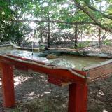 photo 2022-07-14 10-41-28