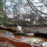 photo 2022-02-17 10-20-42