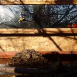 photo 2022-02-12 08-58-02