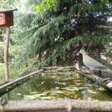 photo 2023-04-29 13-36-02