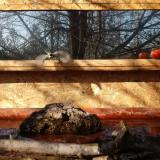 photo 2022-02-08 10-27-40