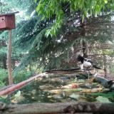 photo 2023-05-23 09-35-32