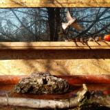 photo 2022-02-10 10-48-23