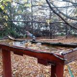 photo 2022-10-23 08-32-00