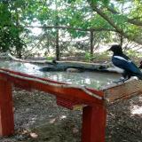 photo 2022-06-22 09-14-36