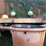 photo 2023-12-27 08-49-15