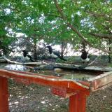 photo 2022-06-03 13-28-29