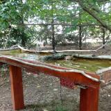 photo 2022-07-31 12-56-48