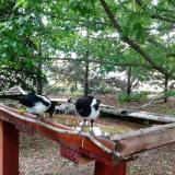 photo 2022-05-29 08-26-25