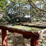 photo 2022-10-17 12-06-46