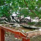 photo 2022-05-26 13-19-46