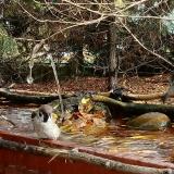 photo 2022-10-24 12-31-17