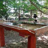 photo 2022-06-29 11-25-26