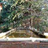 photo 2023-03-22 07-29-29