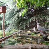 photo 2023-05-24 18-44-15