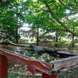 photo 2022-05-05 09-36-03