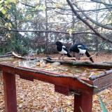 photo 2022-10-23 07-43-56