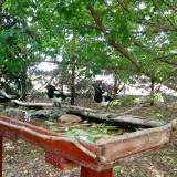 photo 2022-05-23 12-32-43