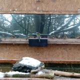 photo 2023-12-08 12-32-19