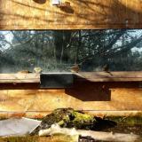 photo 2023-12-04 10-06-19