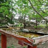 photo 2022-04-24 10-30-51