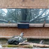 photo 2023-12-09 10-13-49