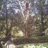 photo 2024-09-30 15-09-24