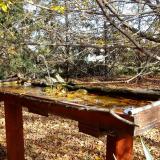 photo 2022-10-23 13-13-48