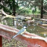 photo 2022-05-06 14-34-49 szencinege