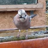 photo 2022-11-28 11-14-40