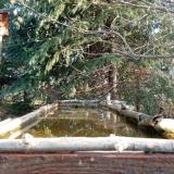 photo 2023-03-22 07-29-36