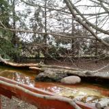 photo 2022-02-21 08-45-53