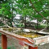 photo 2022-04-30 13-43-40