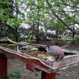 photo 2022-04-18 06-22-15